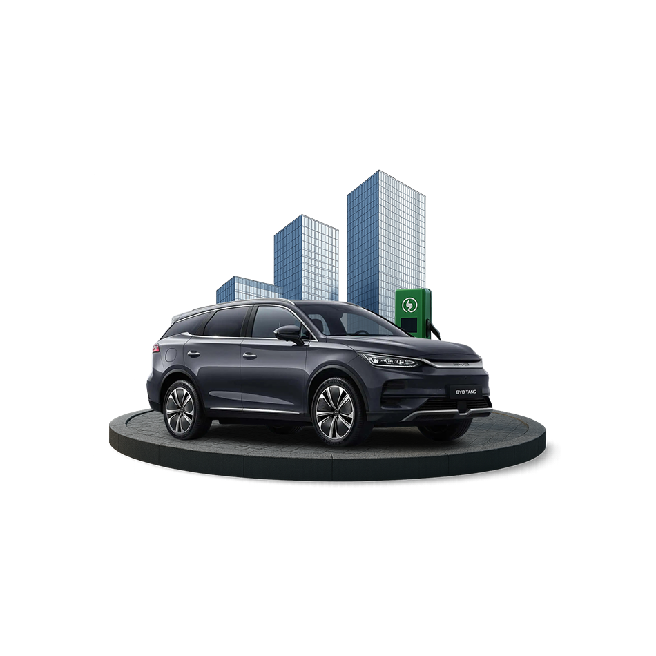 BYD Tang Kampanyası